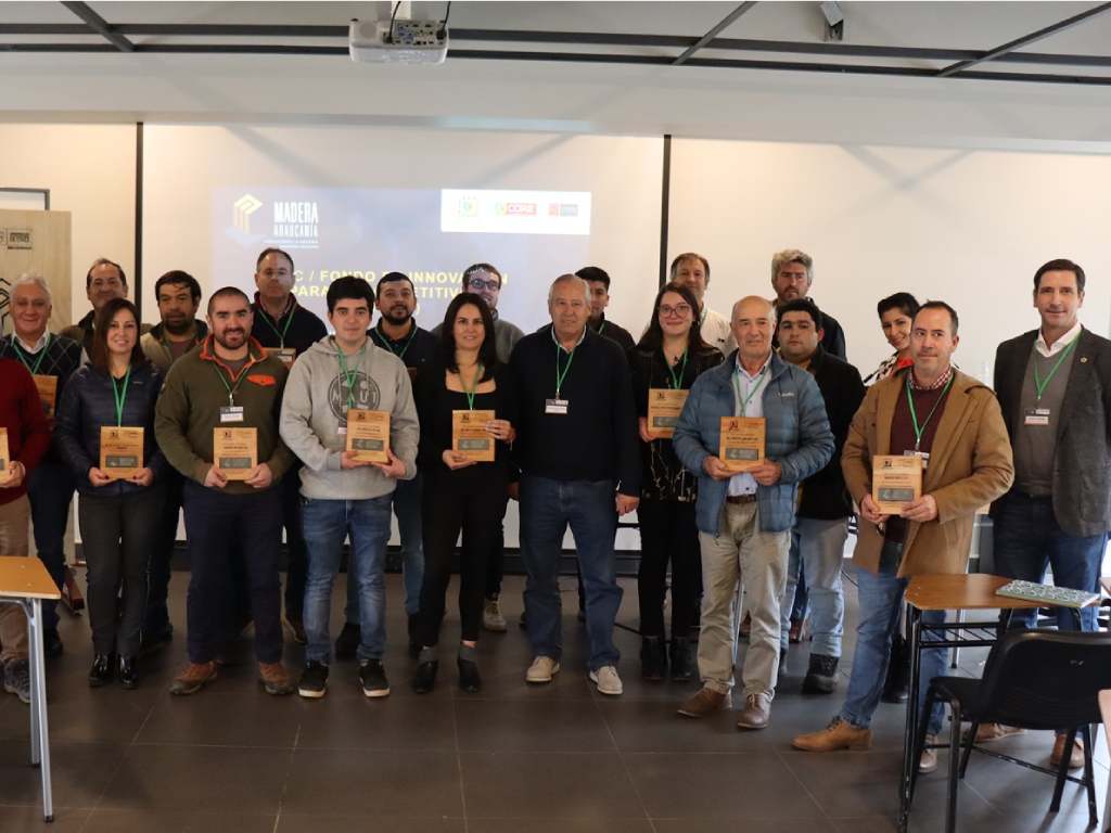 Emprendedores del programa Madera Araucanía