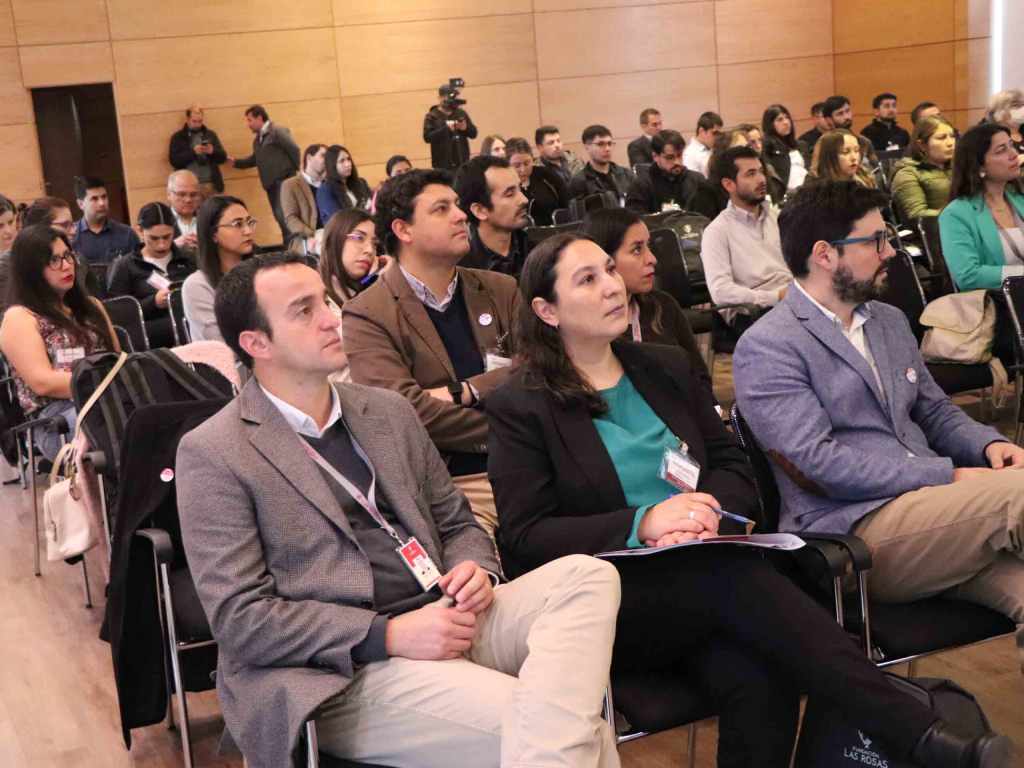 Kinesiólogos Fundación Las Rosas