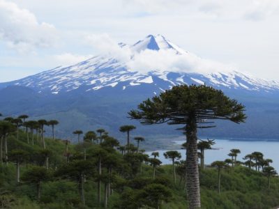 Establecimientos de La Araucanía comparten sus innovaciones para la reactivación educativa en la Universidad Autónoma de Chile