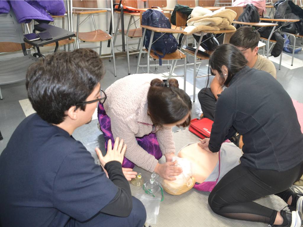 Curso de Reanimación Cardiopulmonar (RCP)