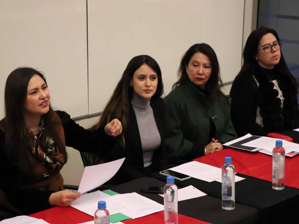 Abogadas expositoras en el seminario