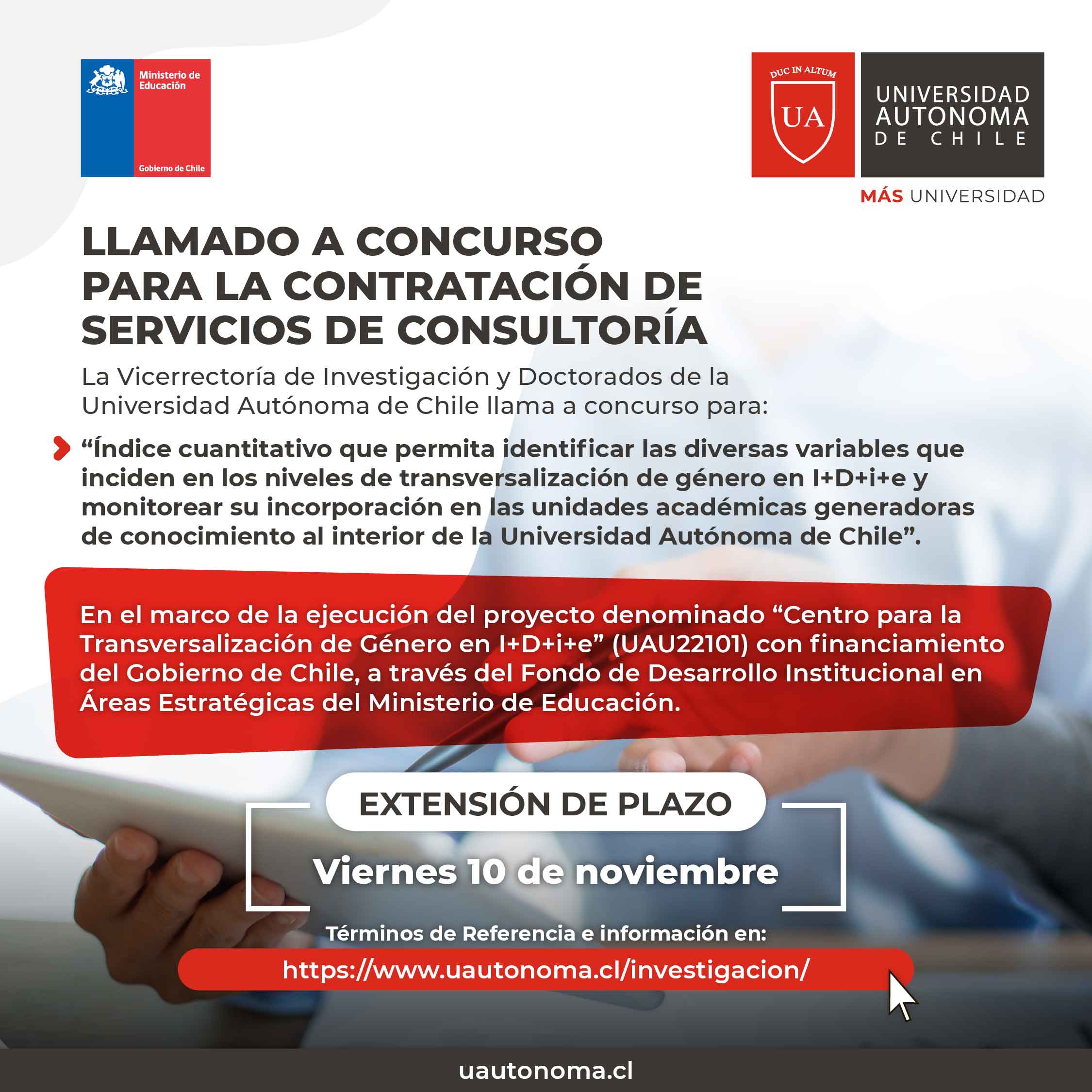 Concurso consultoria