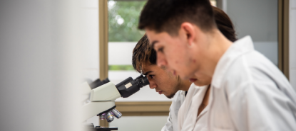 investigacion