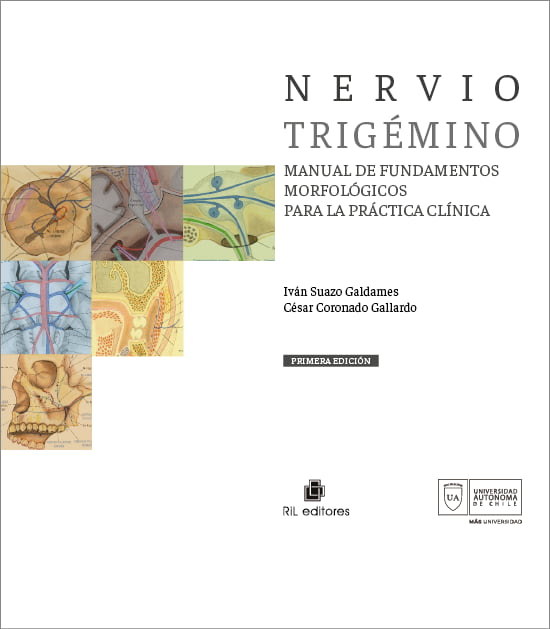 nervio trigemino