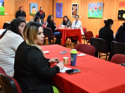 Mesa de género en Ciencia, Tecnología, Conocimiento e Innovación sesiona en Talca