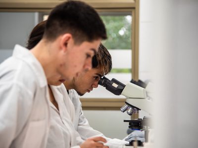 La investigación para formar estudiantes críticos, reflexivos y analíticos