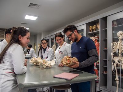 El Programa de Iniciación Científica desde la mirada de sus tutores