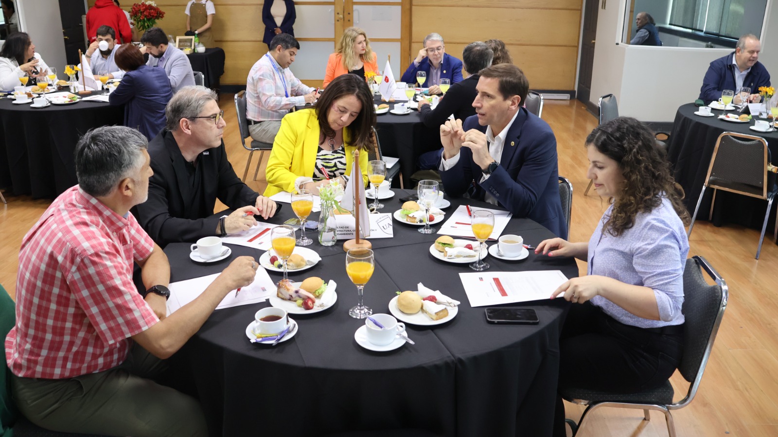 consejo asesor 2