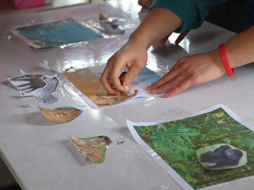 Feria Inglés en Escuela Especial Los Cedros del Líbano