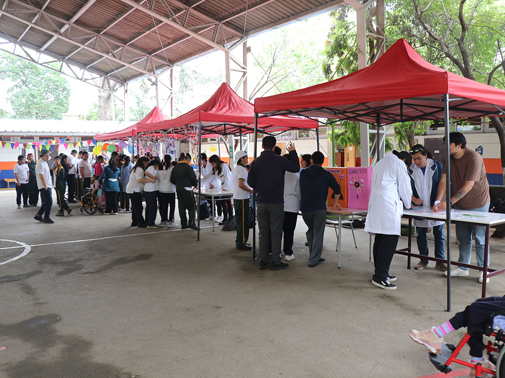 Feria Inglés en Escuela Especial Los Cedros del Líbano