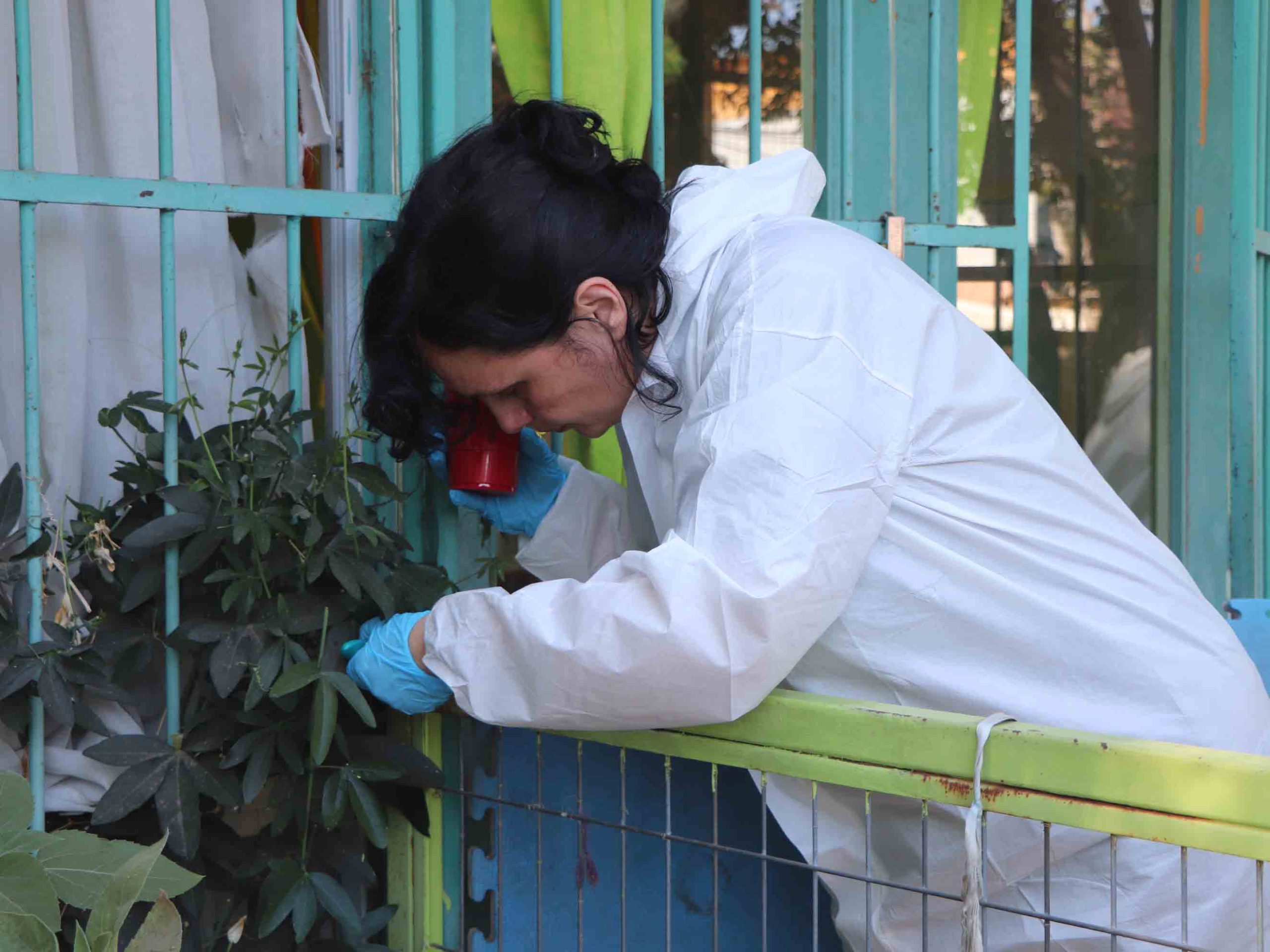 Colaboradores en el Jardín Infantil Campo Lindo de Pudahuel