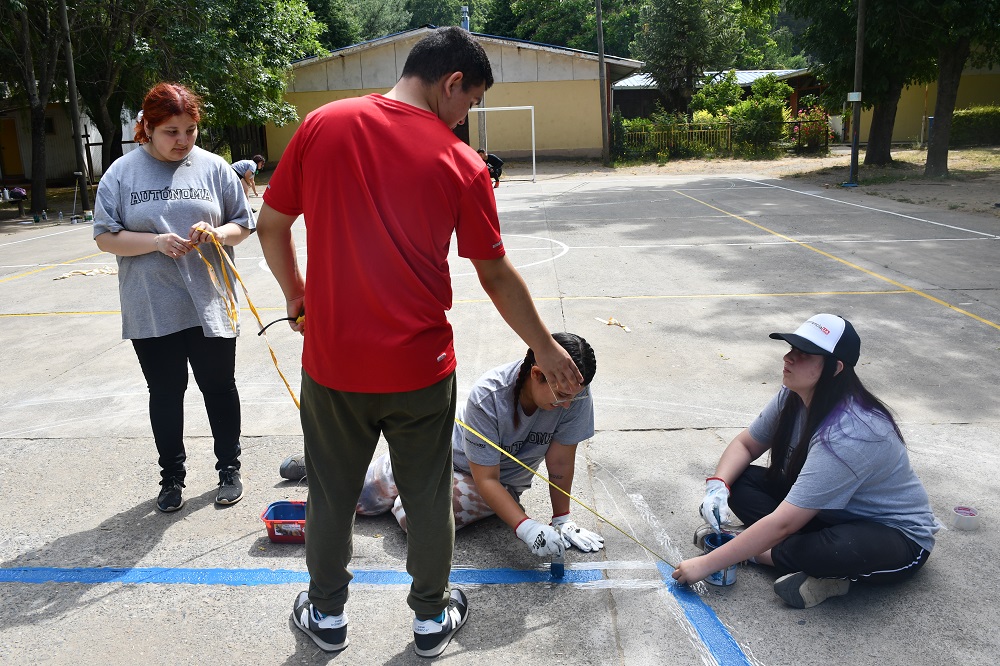 UA Trabajos voluntarios verano 3