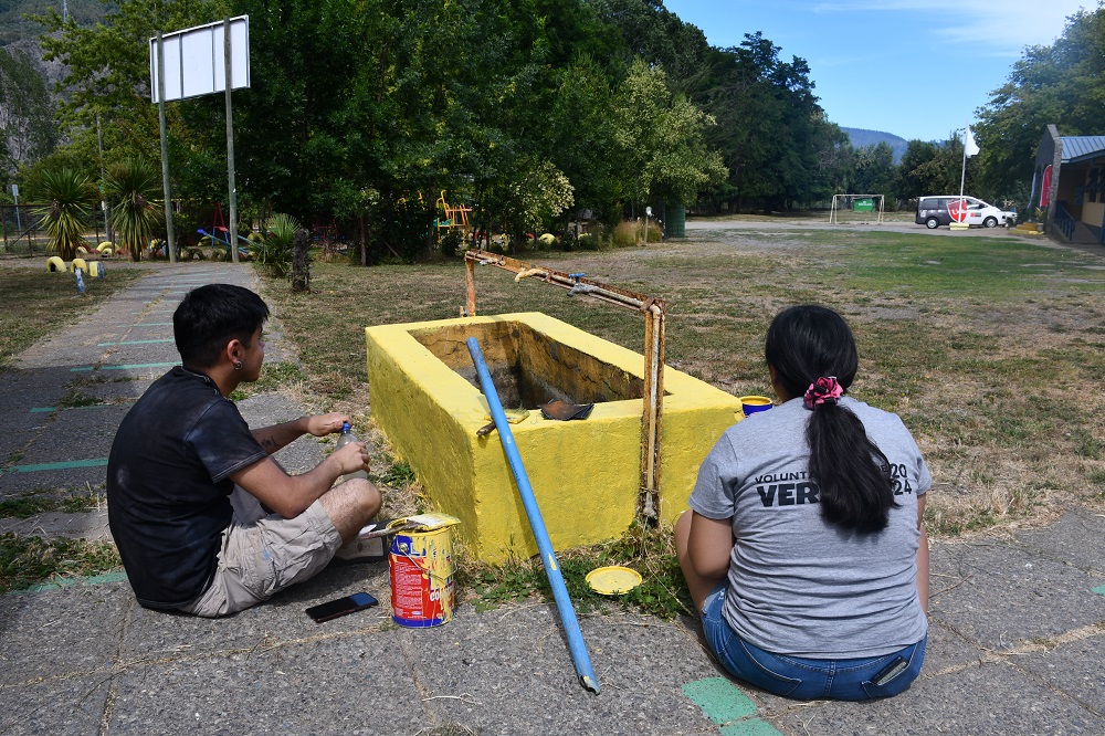 UA Trabajos voluntarios verano 5