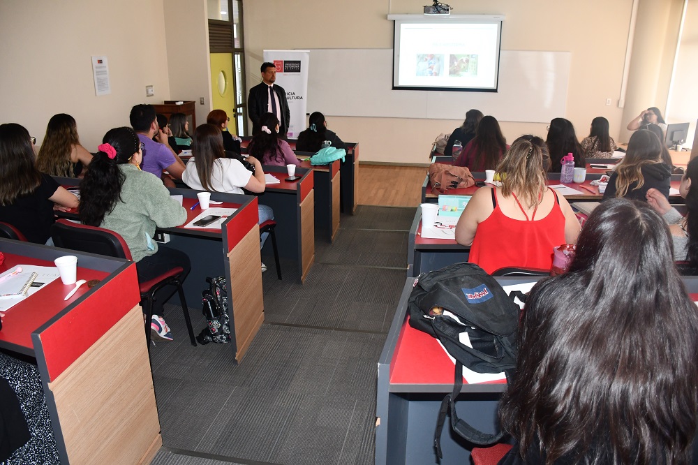 curso STABLE 1