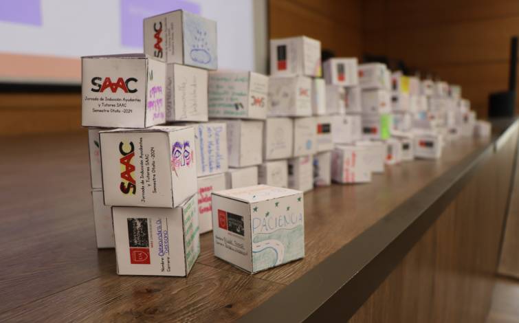 Cubos SAAC