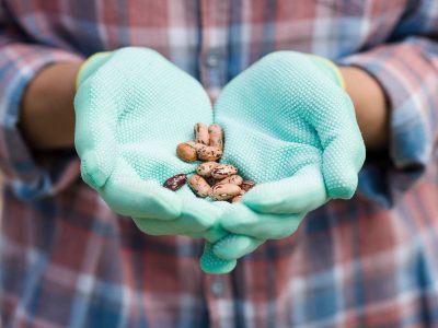 Investigadores de la Universidad Autónoma presentan proyecto anillo sobre sustentabilidad alimentaria