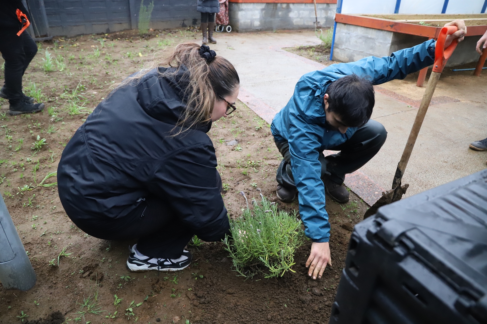 FOTO intervencion urbana por el dia del medio ambiente 3