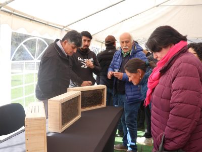 Expo Apícola Temuco resaltó beneficios de la miel para la salud