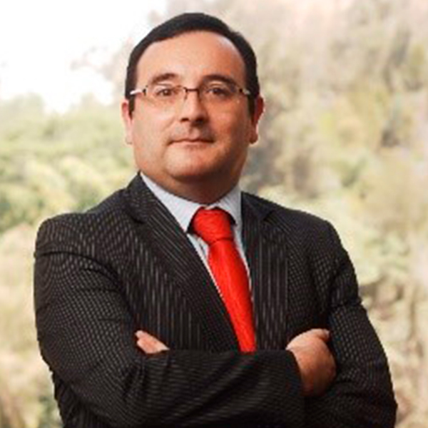 daniel vergara