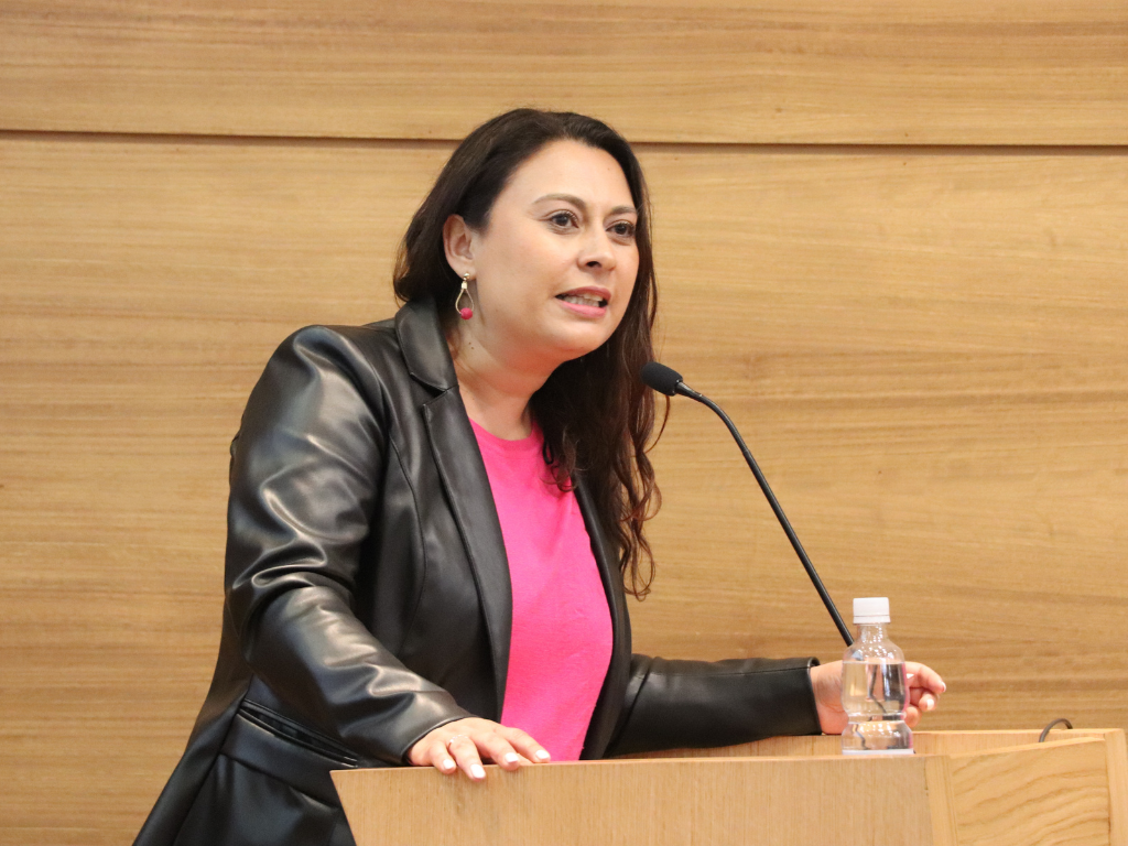 Lilybel Armijo, Directora de Carrera.