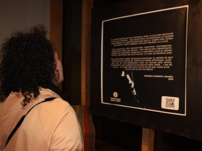 “De lo ancestral a lo contemporáneo”: una celebración artística en vísperas del We Tripantu