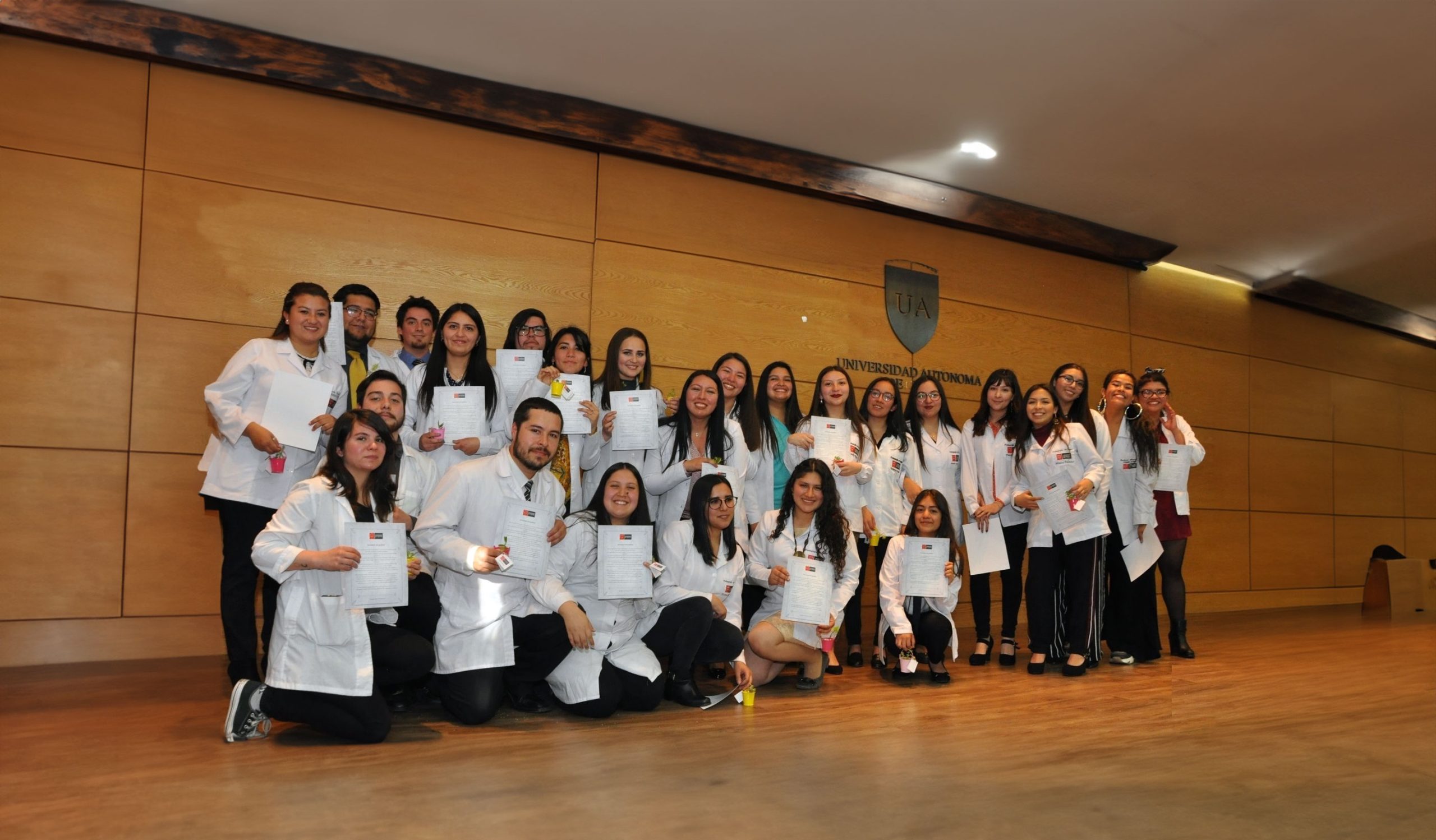 Acreditación Pedagogía en Inglés