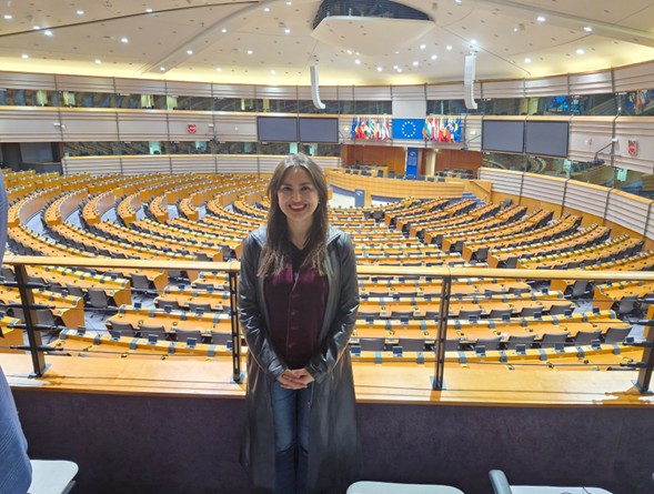 OK Seminarios y congresos X congreso internacional sobre la UE opcion 1