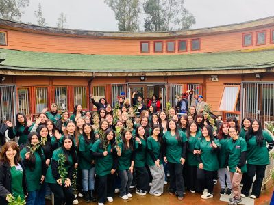 Pedagogía en Educación Parvularia integra aprendizajes en entorno diverso e inclusivo