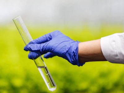 Estudiantes de la Universidad Autónoma ganan concurso VIU con innovador proyecto biotecnológico