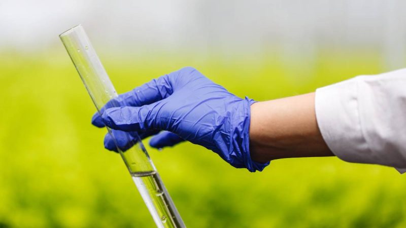 Estudiantes de la Universidad Autónoma ganan concurso VIU con innovador proyecto biotecnológico