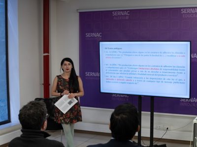 Académicos de la Facultad de Derecho participaron en ciclo “Conversaciones con Jurídica” del SERNAC