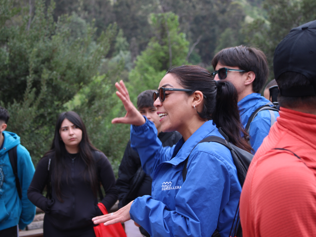 Galeria de fotos 11 3