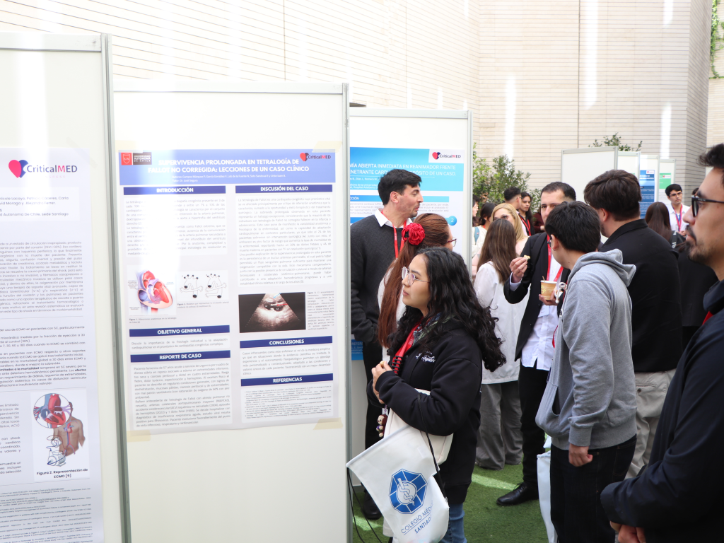 Galeria de fotos 7 2