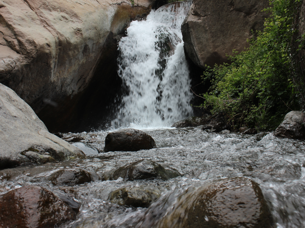 Galeria de fotos 7 3