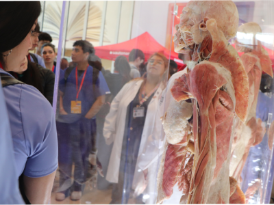 Estudiantes de colegios técnicos participaron en jornada del Día de la Anatomía