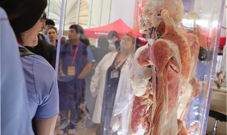 Estudiantes de colegios técnicos participaron en jornada del Día de la Anatomía