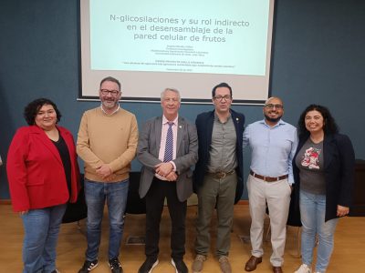 Cierre proyecto Anillo: Investigación desarrolla nuevas tecnologías para enfrentar la escasez hídrica y promover cultivos sostenibles