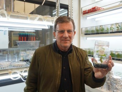 Director del Instituto de Ciencias Aplicadas participa en nueva sesión GlobalTalks de Carver University