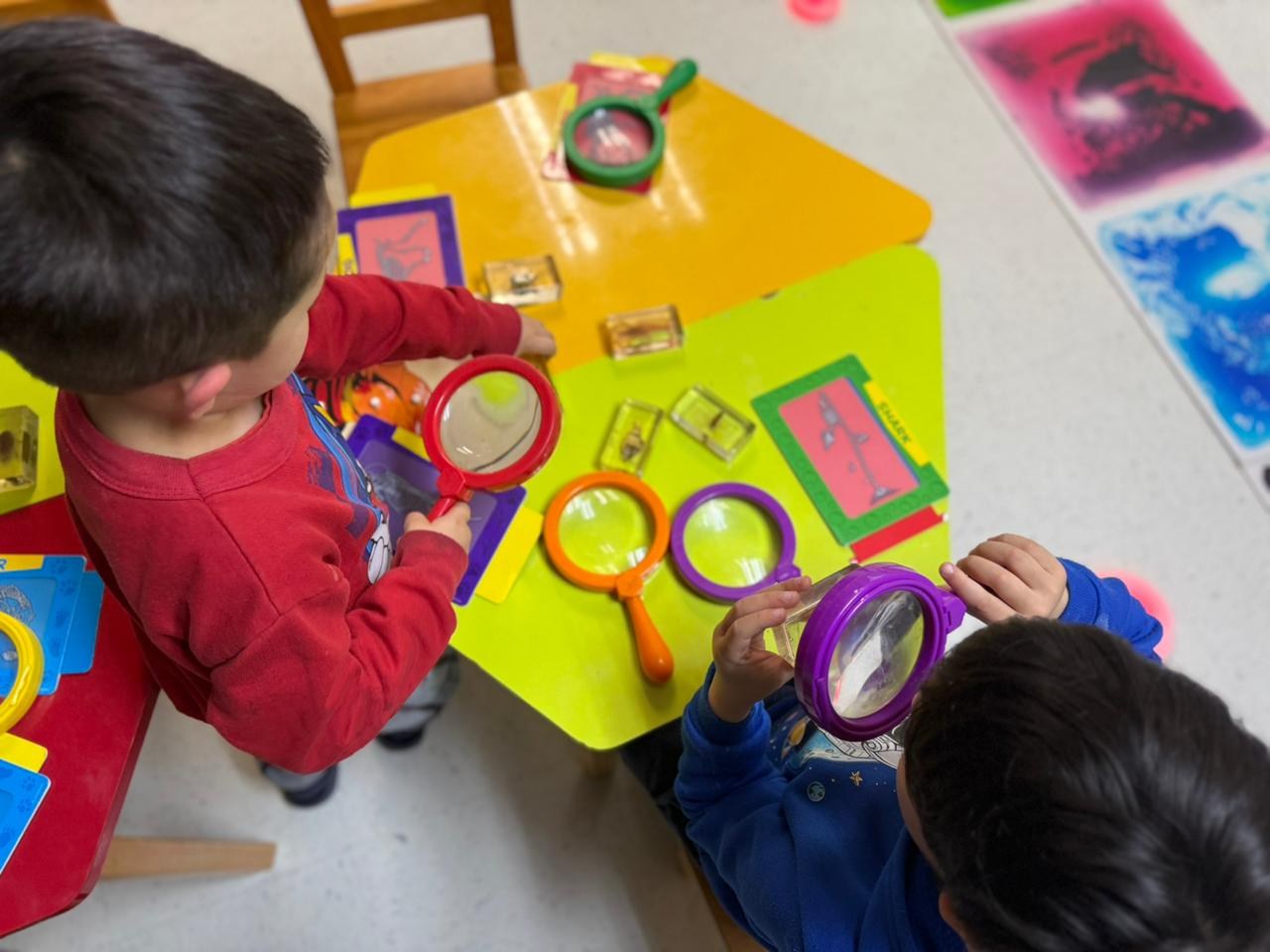 FOTO jardin uct en la sims 4