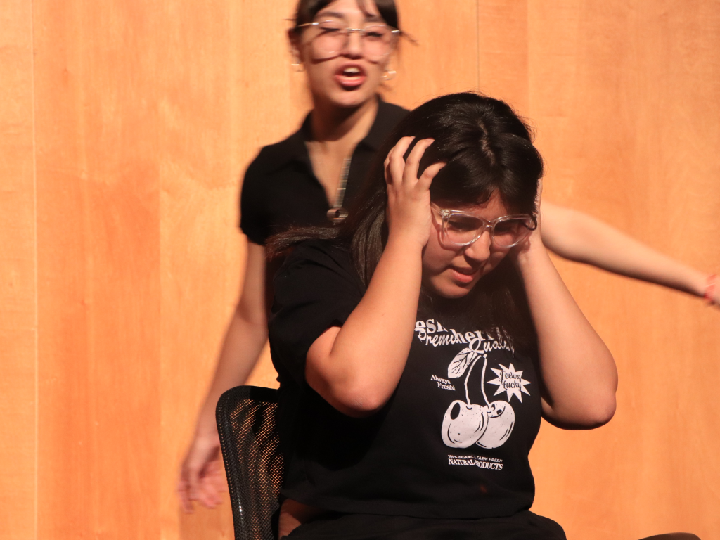 Galeria de fotos 1 11