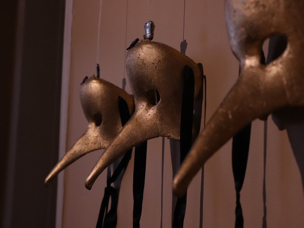 Galeria de fotos 2 2