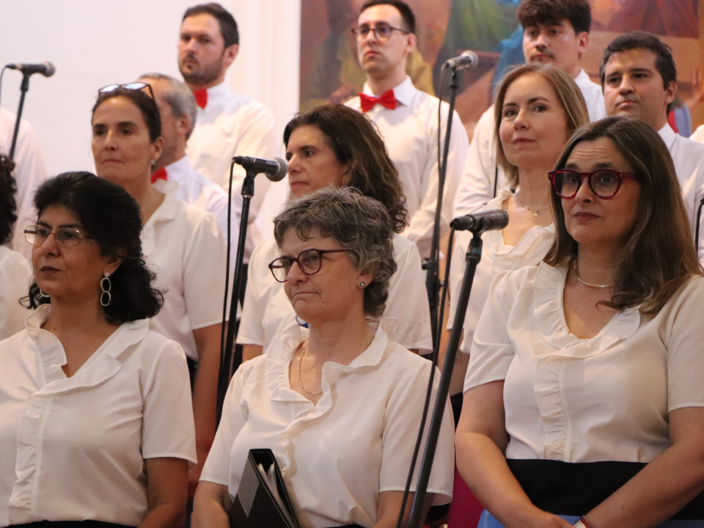 Galeria de fotos 1 15