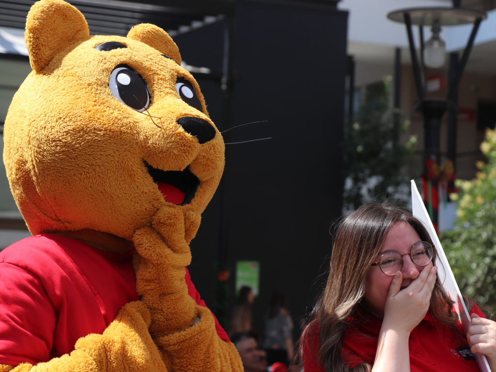 Galeria de fotos 10 4