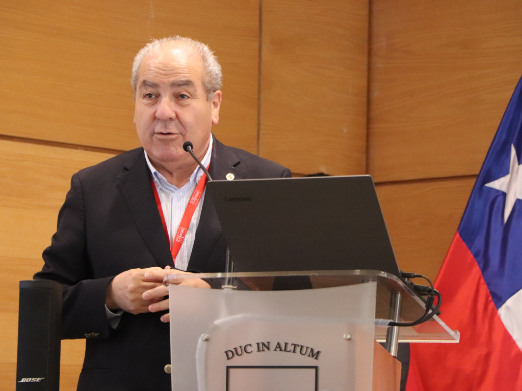 Galeria de fotos 11 2