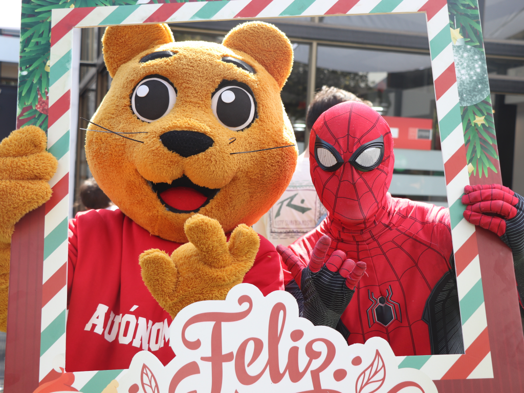 Galeria de fotos 12 2