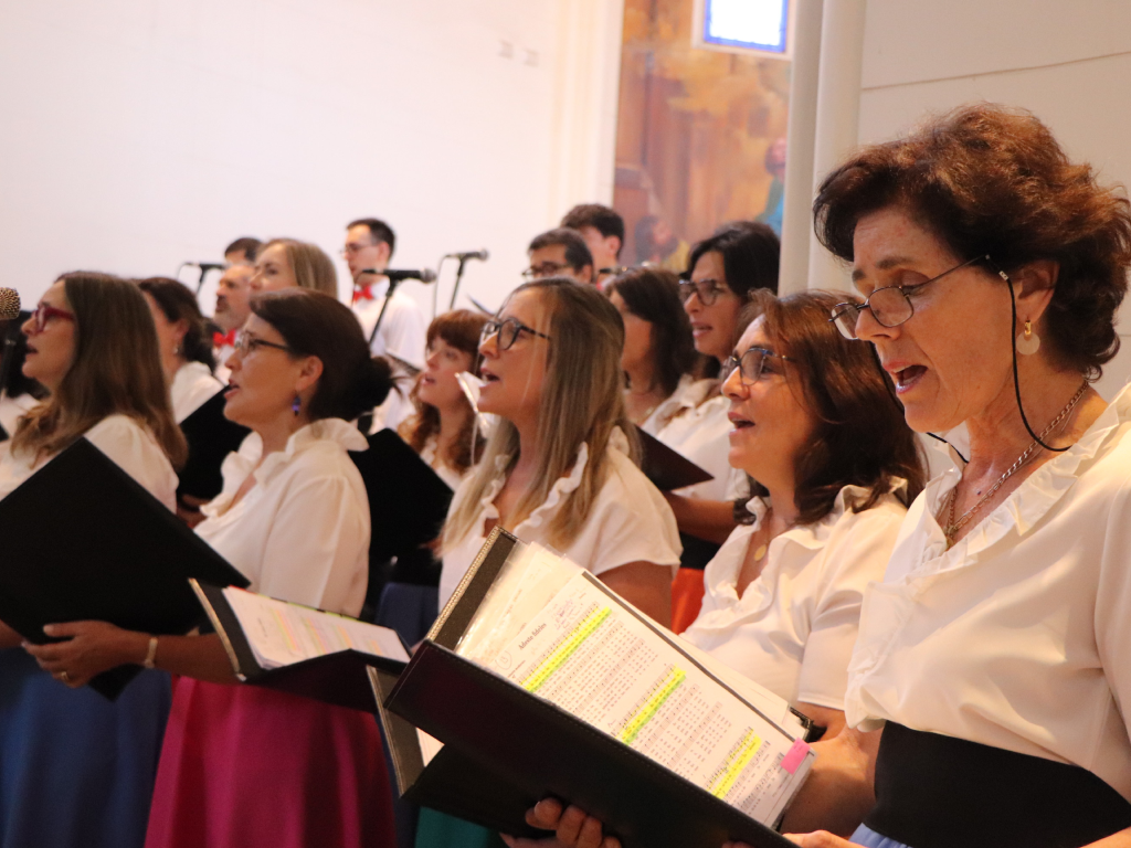 Galeria de fotos 12 3