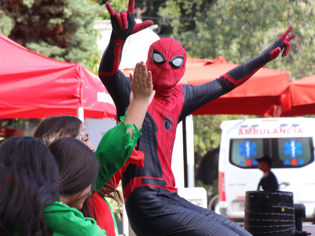 Galeria de fotos 13 1