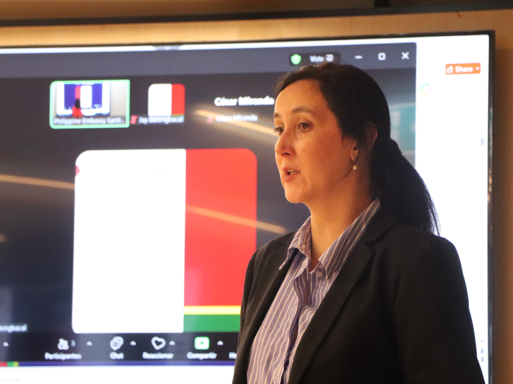 Galeria de fotos 2 9