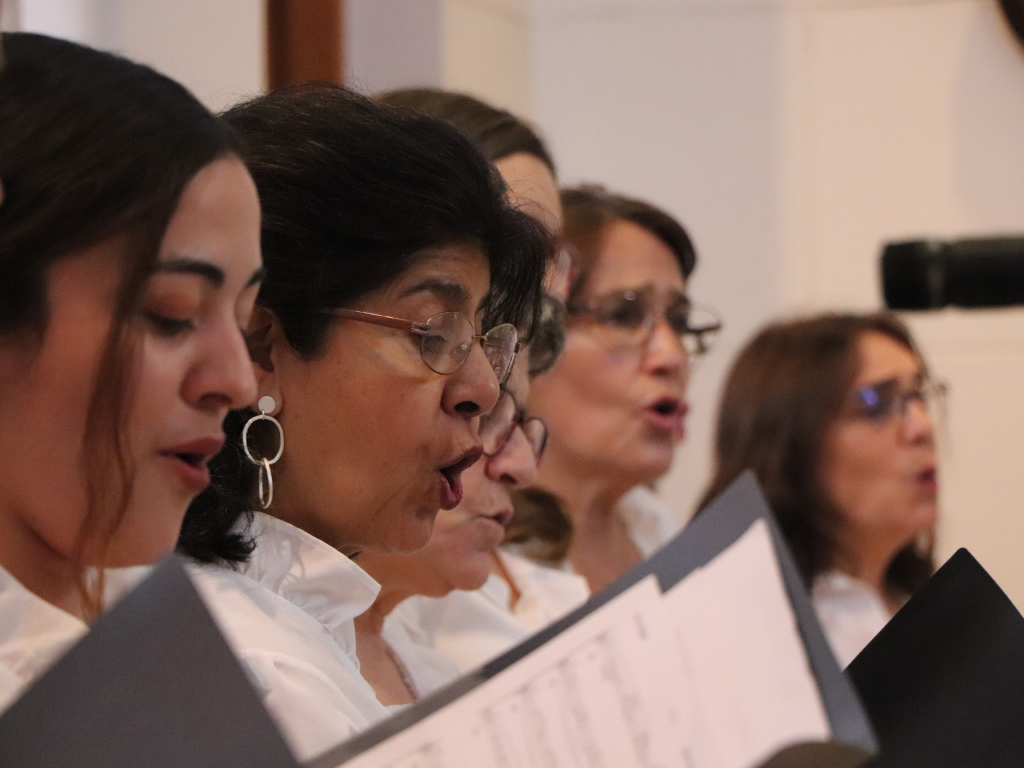 Galeria de fotos 9 4