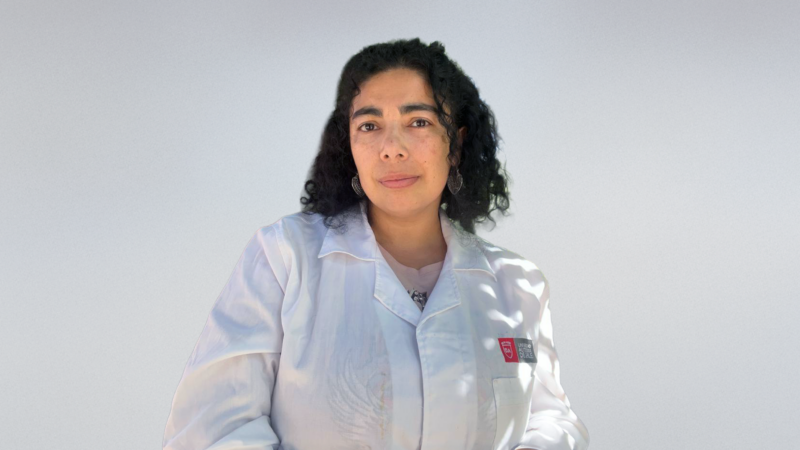 Científica de la U. Autónoma desarrolla “escudo biotecnológico” para rescatar la papaya de Iloca frente al cambio climático